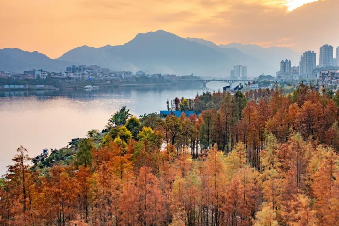 风景如画的贺州市昭平县江滨公园。