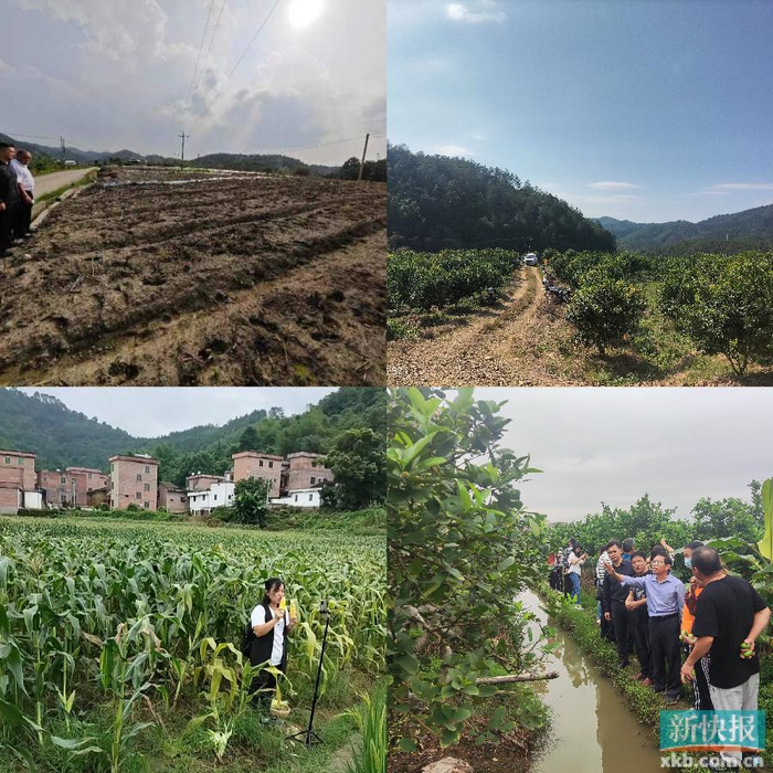 驻肇庆市广宁县石咀镇工作队:整合资源建管并重 让美丽圩镇释放澎湃
