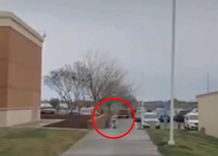 图片来自youtube@@Bomiiao，版权属于作者