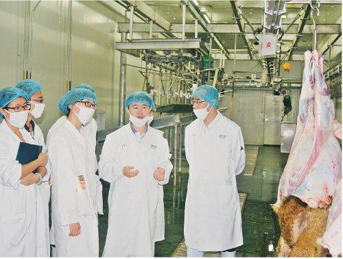 　　张德权（右二）带领团队党支部成员在企业肉羊生产加工车间开展技术指导。　受访者供图