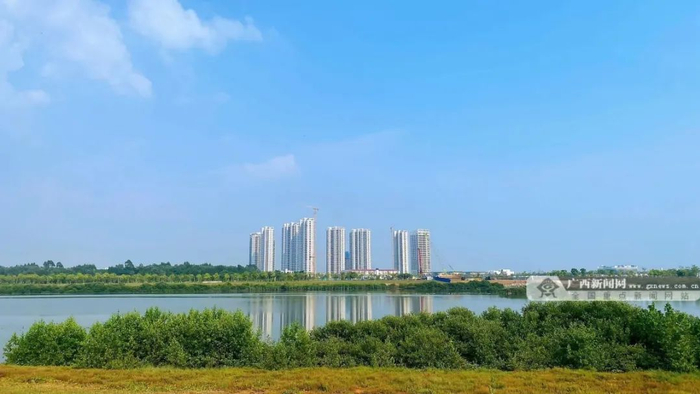 北海滨海国家湿地公园。记者 王香菊 摄