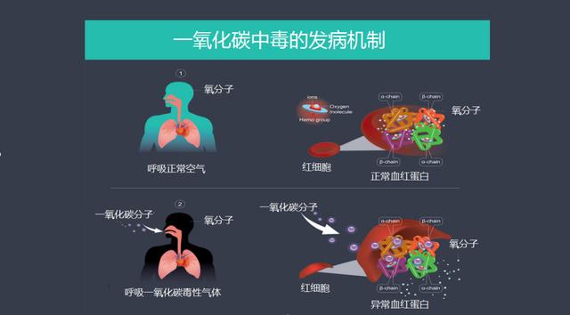 您必須知道的10件事!|血紅蛋白