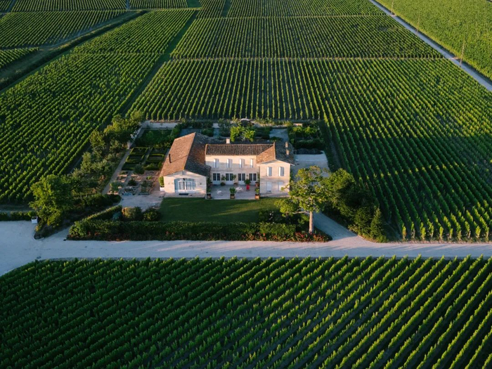 人物pierreolivierclouet白马酒庄的目标不是生产出最好的葡萄酒