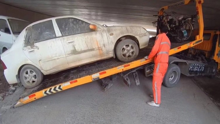 本文图片均为上观新闻 图