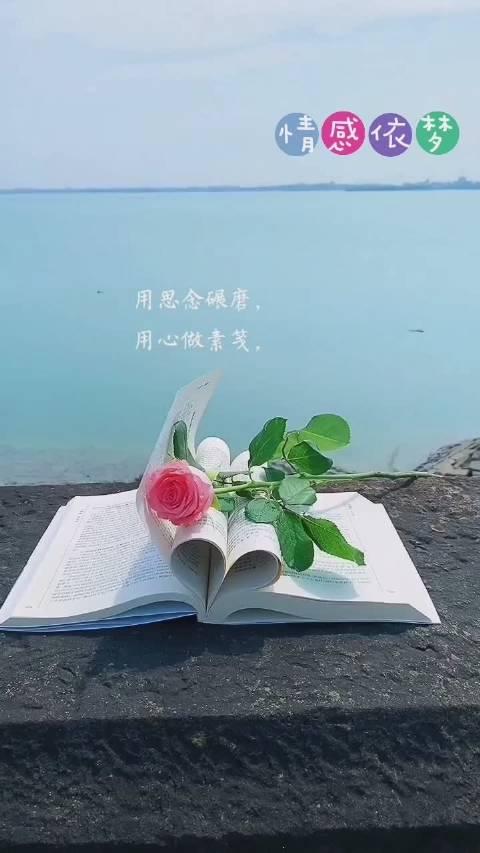 高級小眾且治癒的朋友圈文案1理想和現實隔著一個生活2