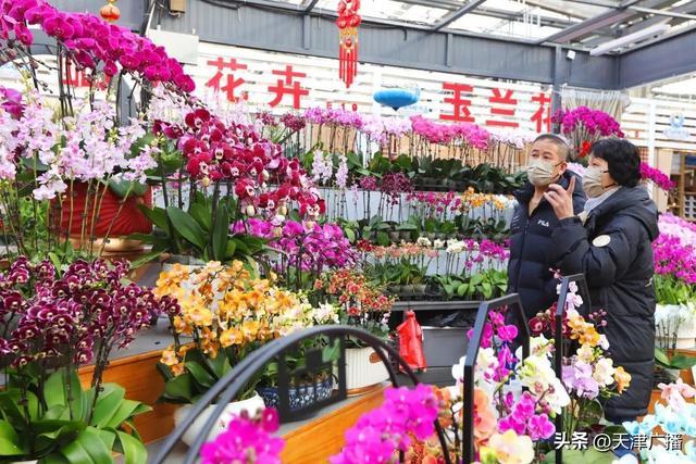 天津大顺花卉市场图片