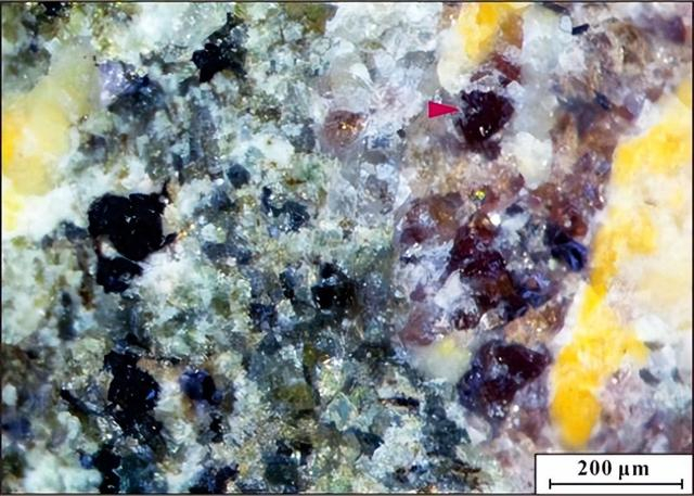 最新发现的稀土硅酸盐矿物倪培石及其共生矿物组合。 中国地质调查局天津地质调查中心 图
