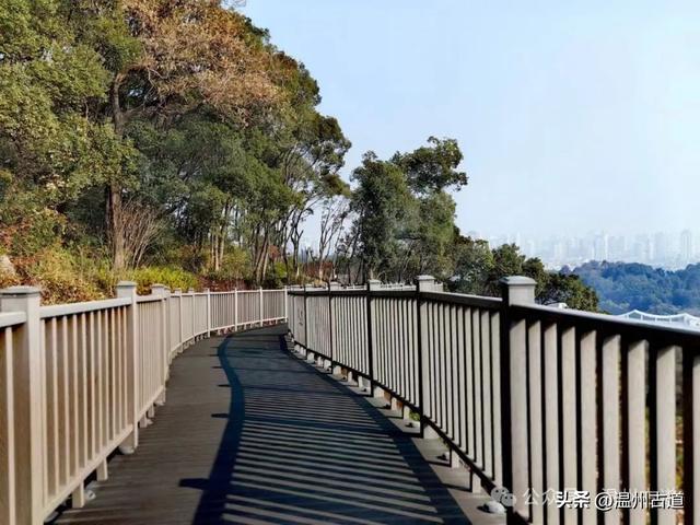 溫州這個森林公園有永嘉首剎和可俯瞰整個城區的景觀棧道