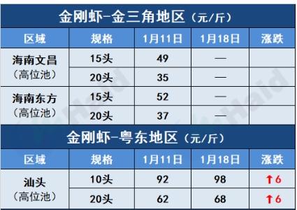 白虾,斑节虾价格有涨有跌