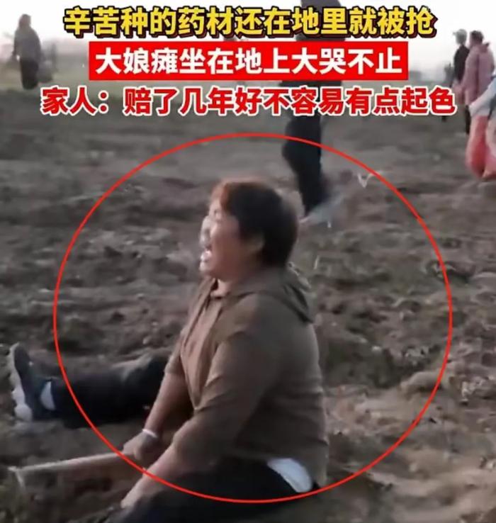 “河南冤枉啊！”货车侧翻遭哄抢实为帮忙！目击者发声，网友吵翻 财经头条