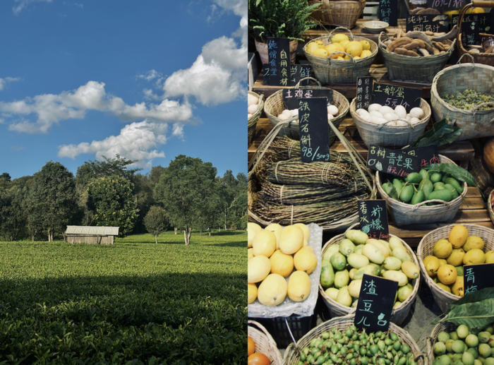 △辞职后，火火前往云南，“过具体的生活”，受访者供图