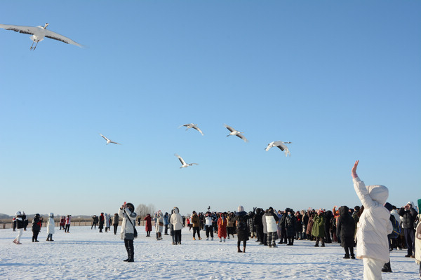 2024年黑龙江省首趟哈尔滨—齐齐哈尔烤肉专列启动运行|哈尔滨市