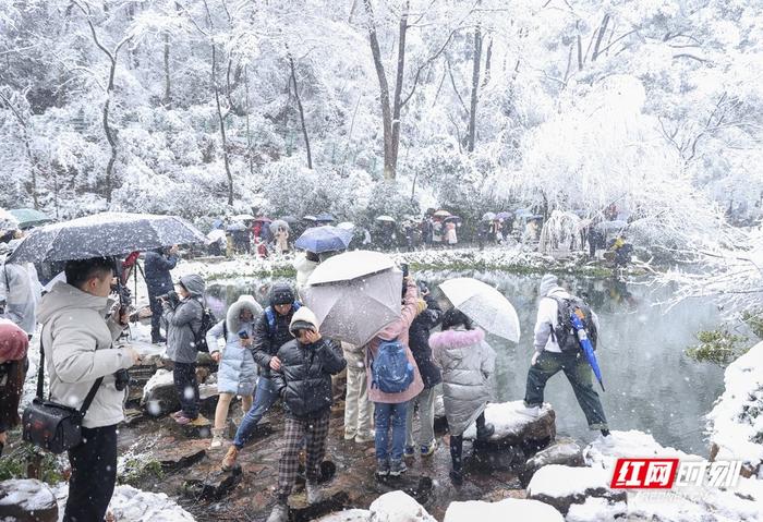 橘子洲头雪景图片