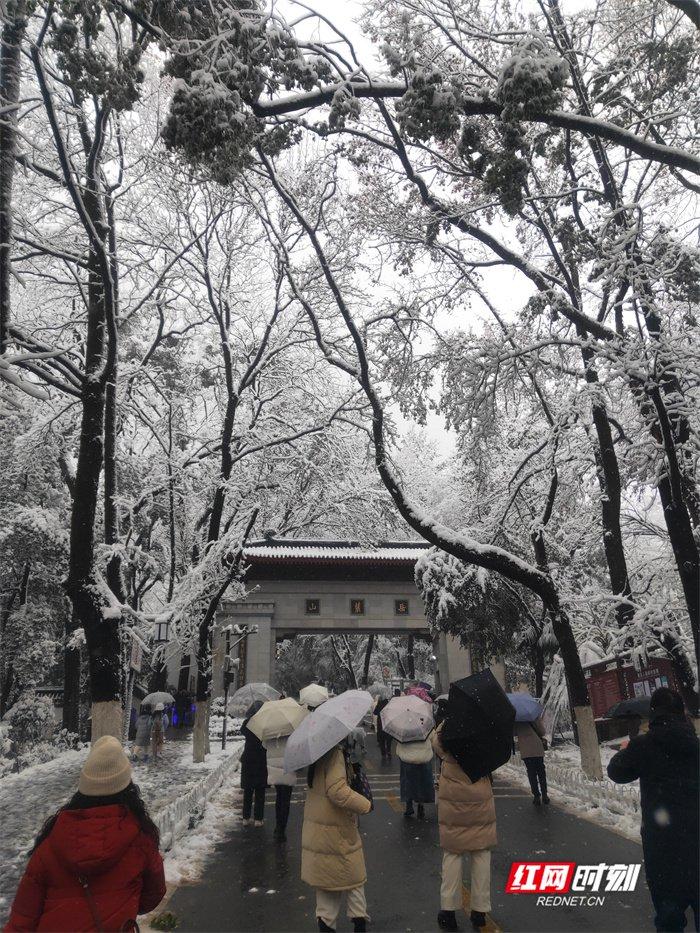 橘子洲头雪景图片