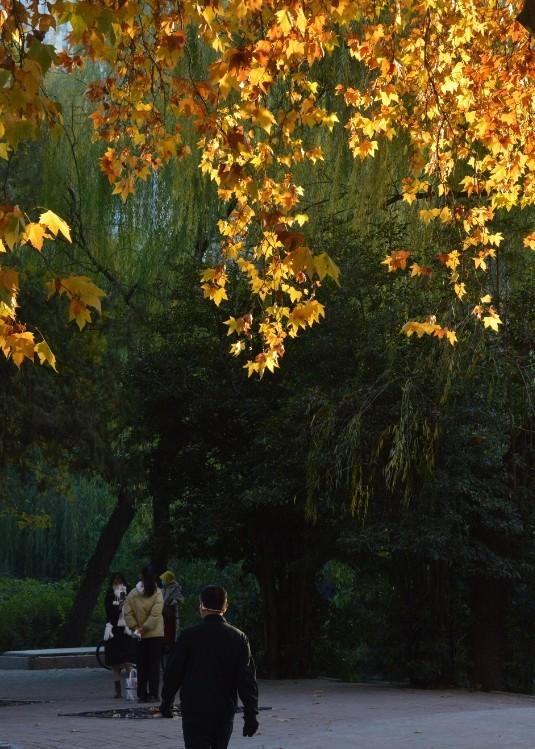 摄影老师：唐学勤