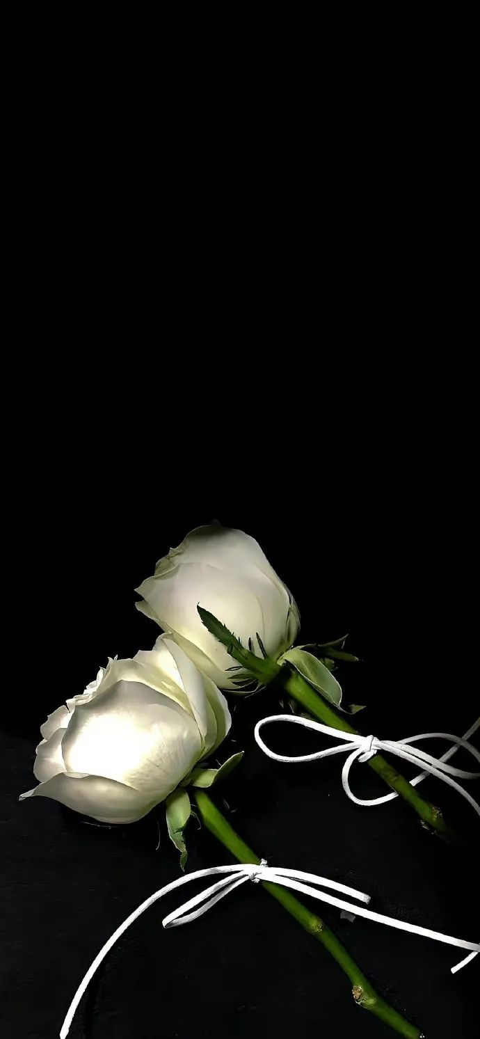 壁纸|很值得称赞的小众锁屏壁纸_新浪新闻