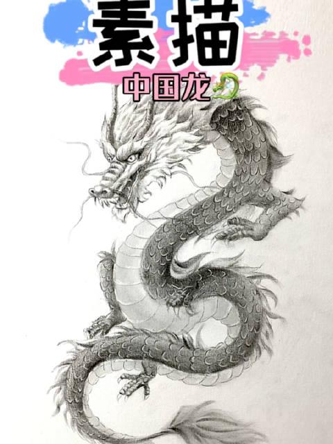 龙素描霸气图片