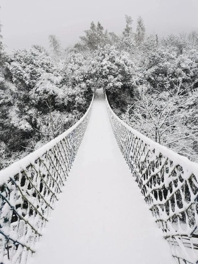 江西雪景最美的地方图片