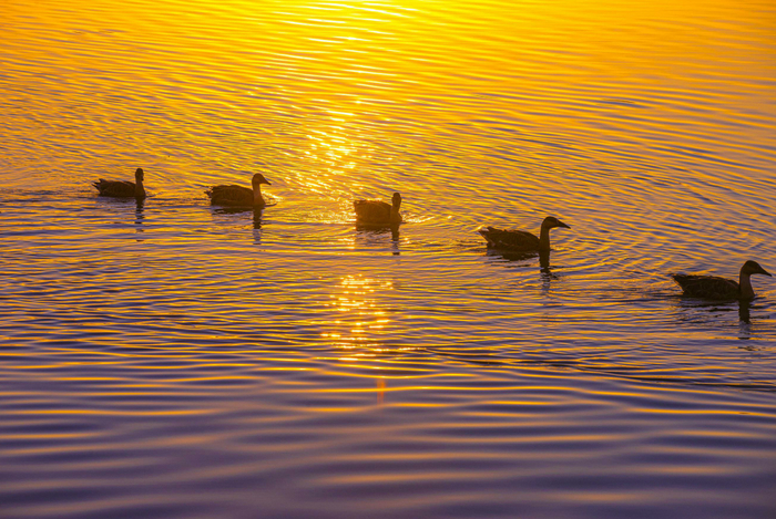 △如在画中游。