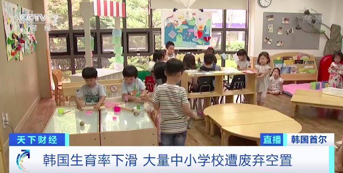 〓 图源：央视网