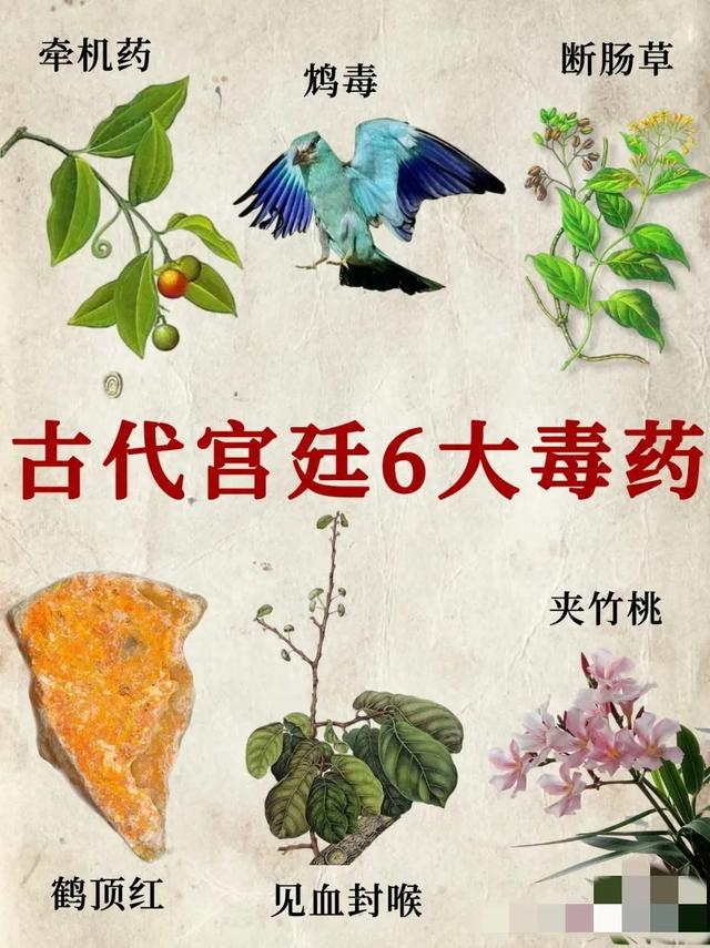 古代宫廷6大毒药,各个猛烈
