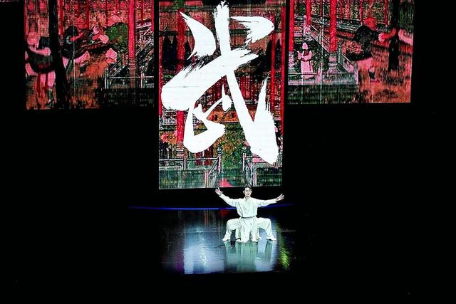 功夫是郑州的名片 记者 白韬 唐强 图