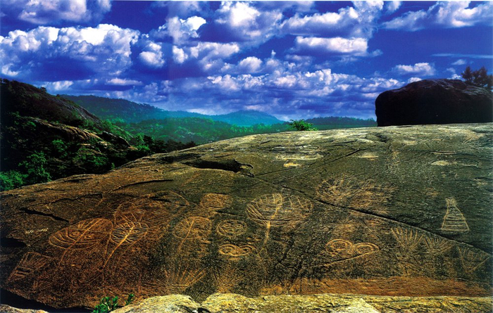 连云港举行将军崖岩画文化价值与精神内涵研讨会