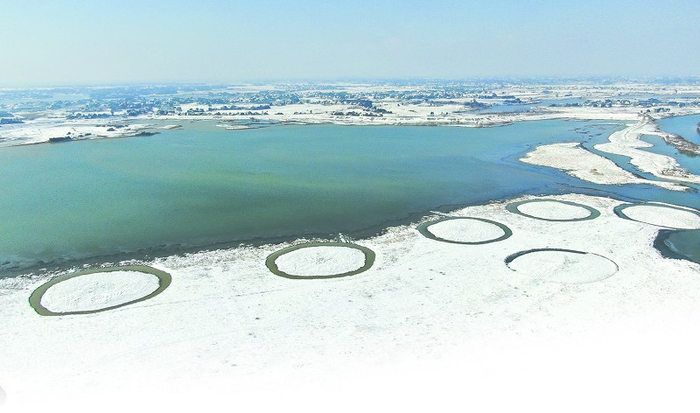 从山水共治到人鸟共欢 ——中国·沅江首届观鸟挑战