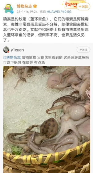 章鱼|触须|水母_新浪新闻