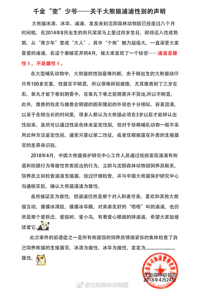 关于大熊猫浦浦性别的声明。图/@沈阳森林动物园