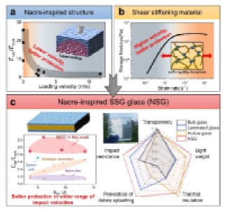 （中国科大供图）