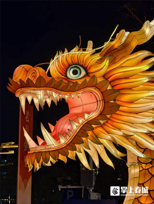 龙元素装饰扮靓昆明街头你拍到了吗