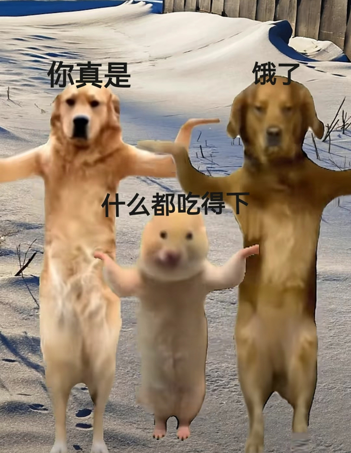 最近喜爱表情包:啊啊啊啊啊啊我看你们谁还没看三只小狗跳舞!