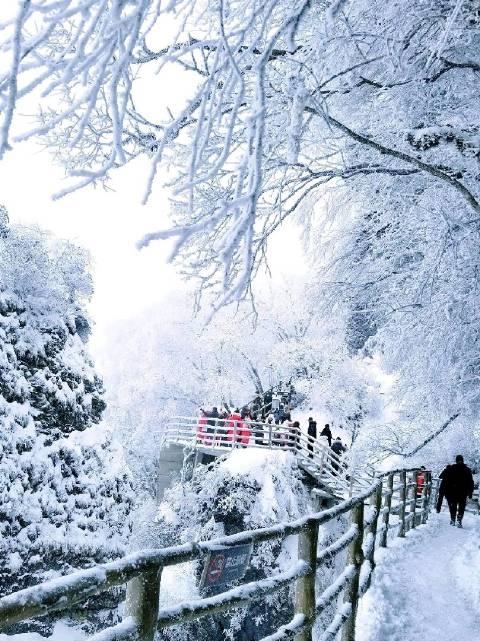 漢中龍頭山的雪景太美了比爾濱還美比河南還帥