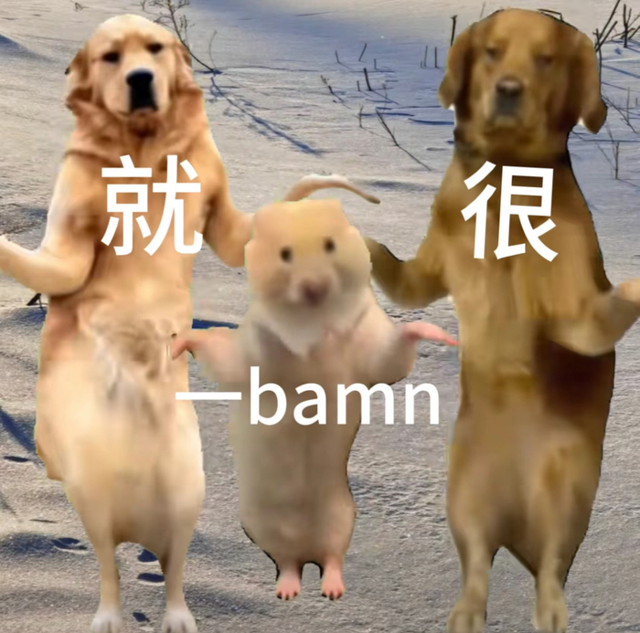 最近喜爱表情包:啊啊啊啊啊啊我看你们谁还没看三只小狗跳舞!