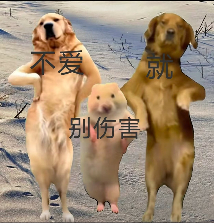 最近喜爱表情包:啊啊啊啊啊啊我看你们谁还没看三只小狗跳舞!