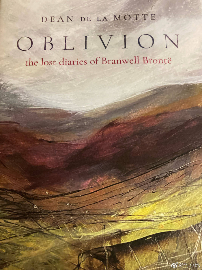 布兰威尔的遗失的日记