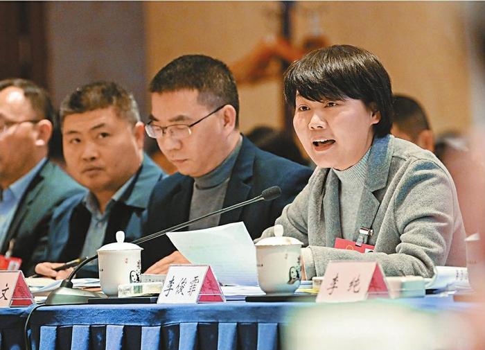 李俊霏代表(右一)就深化改革开放,推动广安探索高质量发展新路子作