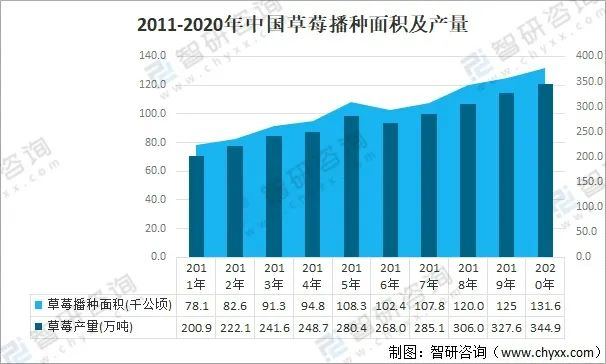 放眼世界，中国草莓产量后来居上，产量位居世界第一。（图/智研咨询）