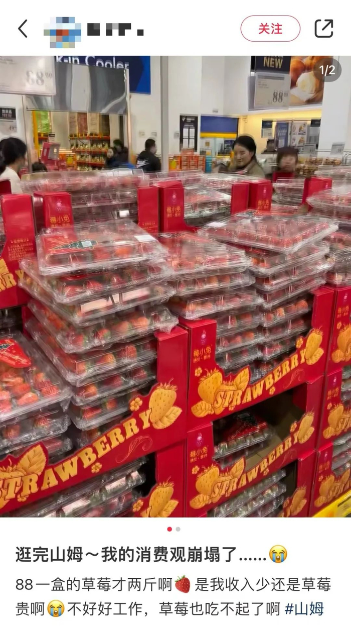 草莓自由，只是部分人的自由罢了。（图/截图）