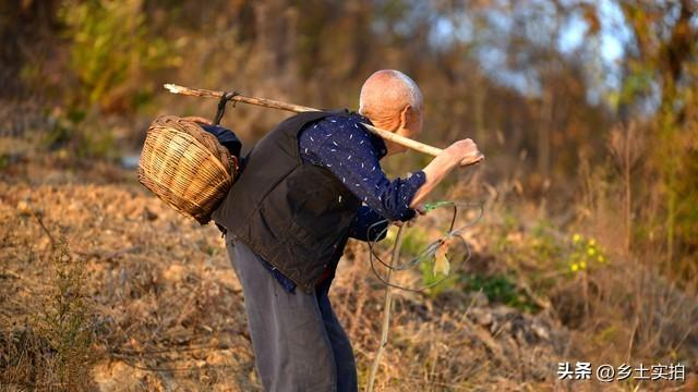 春节期间农村人气冷淡,是社会进步的明显标志|春节|农村|农民_新浪