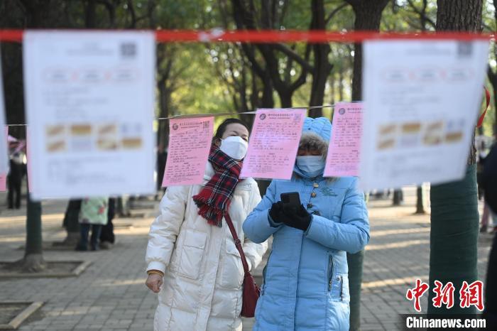 春節將至合肥城市公園相親角人氣滿滿