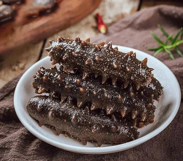 北纬39°黄金海域「正宗辽参」,个大肥满,肉质紧实.居然只卖这个价