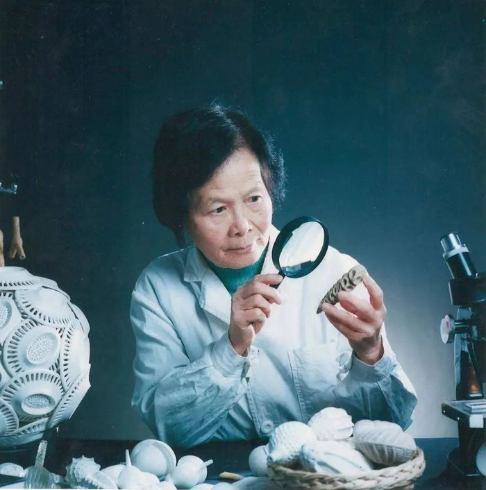 图源：三乡发布