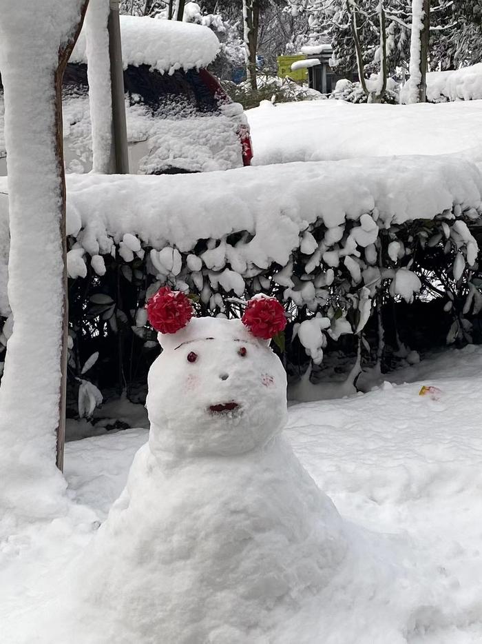 1月22日，未栀和共事们在公司园区堆的雪东说念主。