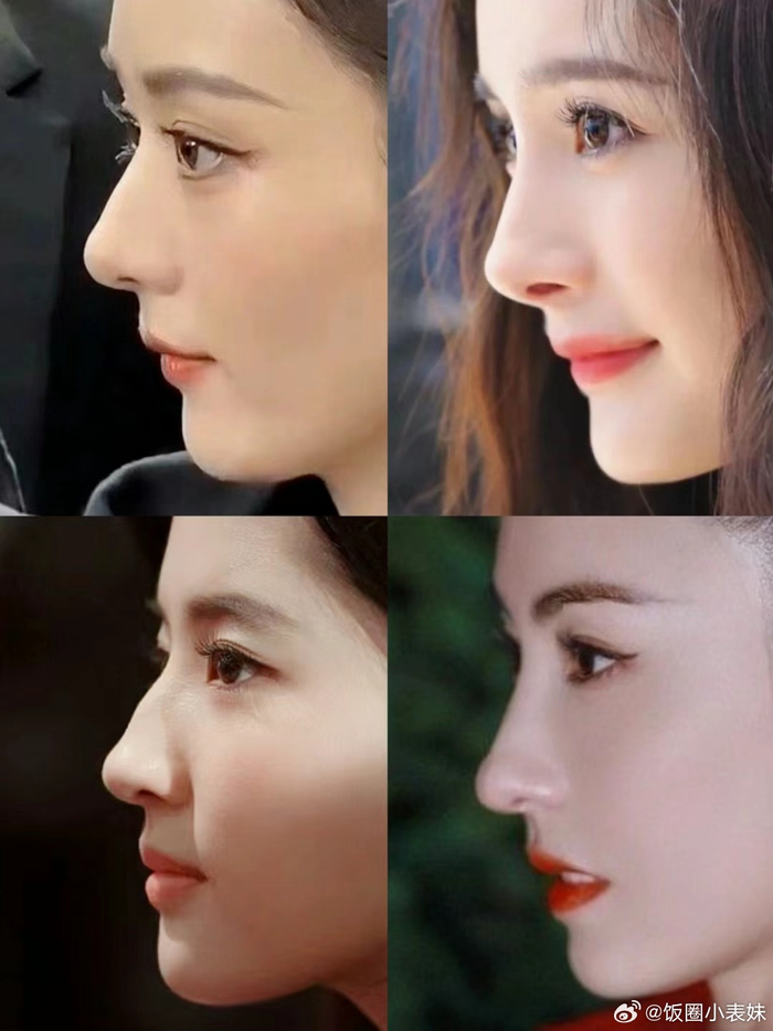 内娱女明星的名品鼻子……|刘亦菲|张柏芝|迪丽热巴_新浪新闻
