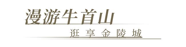 牛首山東麓藏著都市人夢寐以求的禪修新旅