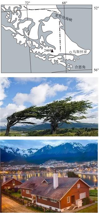 地理專題高考複習植被講什麼高考地理中幾種特殊的樹