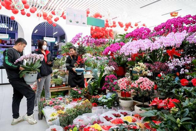 花展现场（主办方供图）