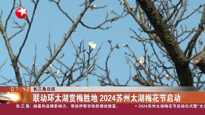 長三角日曆聯動環太湖賞梅勝地2024蘇州太湖梅花節啟動